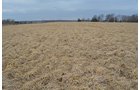 Property photo 24 - REAL ESTATE & FARM EQUIPMENT AUCTION IN ALLEN COUNTY, INDIANA